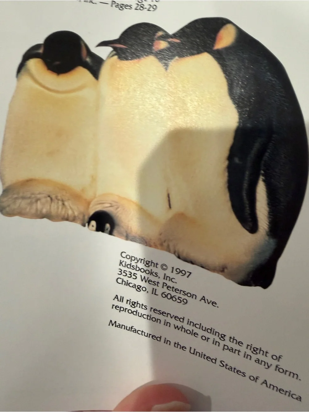 VINTAGE 1997 Eyes on Nature: Apes and Monkeys Softcover Book for Kids